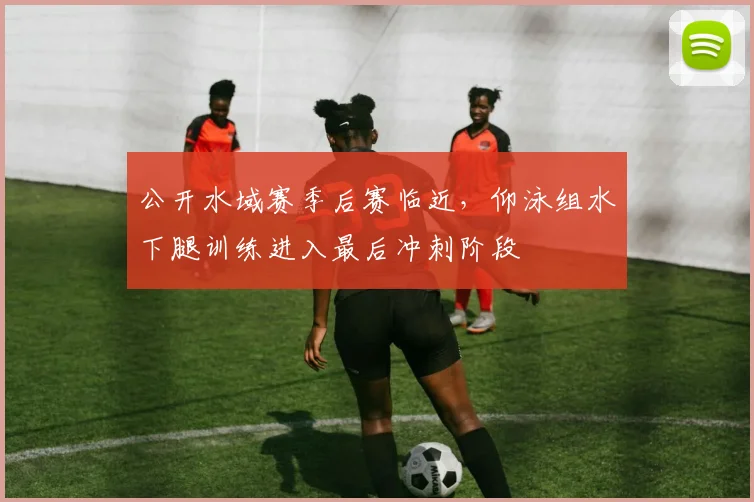 公开水域赛季后赛临近，仰泳组水下腿训练进入最后冲刺阶段 - 搜狐体育