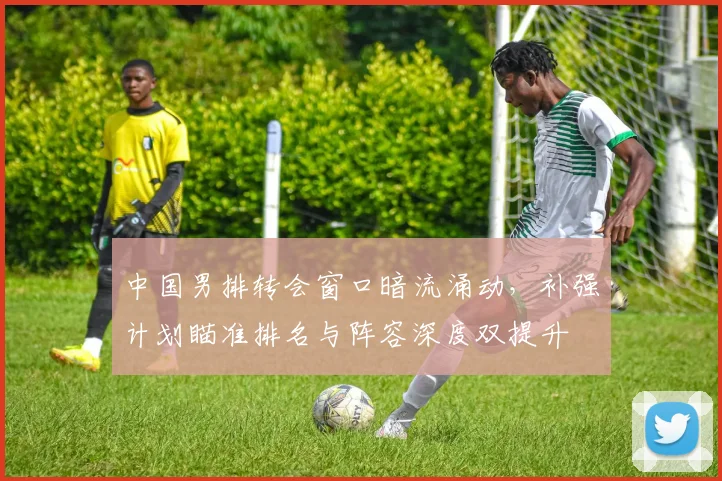 中国男排转会窗口暗流涌动，补强计划瞄准排名与阵容深度双提升