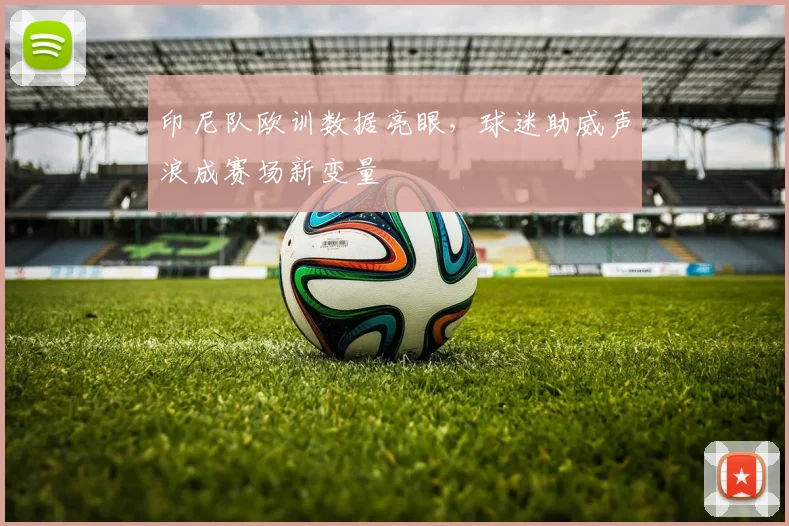 印尼队欧训数据亮眼，球迷助威声浪成赛场新变量 - 搜狐体育