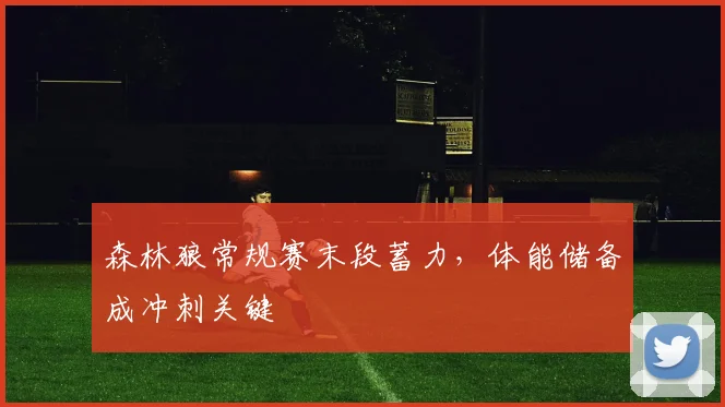 森林狼常规赛末段蓄力,体能储备成冲刺关键