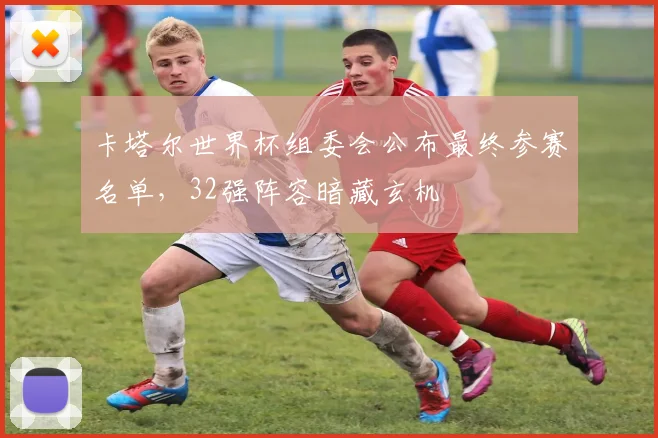 卡塔尔世界杯组委会公布最终参赛名单,32强阵容暗藏玄机